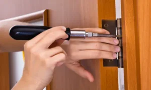 Door Hinge for Orange Sort Of